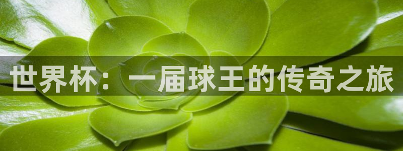 2026足球世界杯赛程时间表：世界杯：一届球王的传奇之旅