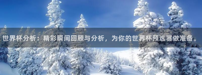 世界杯小组赛赛程：世界杯分析：精彩瞬间回顾与分析，为你的世界杯预选赛做准备。