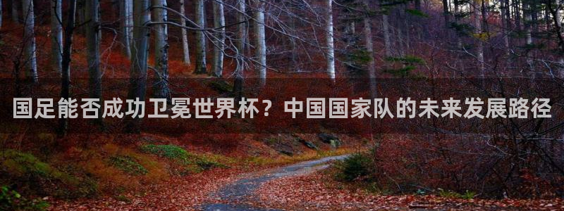 世界杯时间：国足能否成功卫冕世界杯？中国国家队的未来发展路径