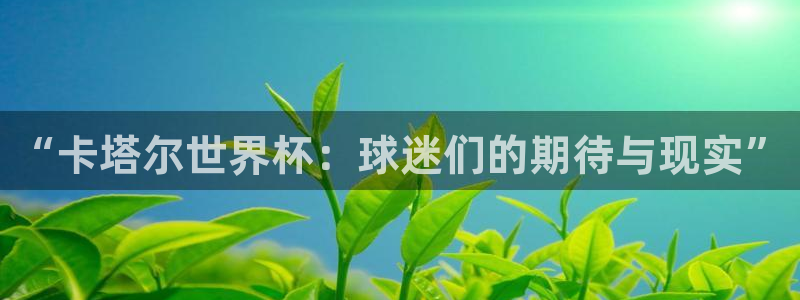 世界直播：“卡塔尔世界杯：球迷们的期待与现实”
