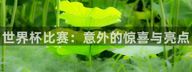 世界杯直播在线观看入口：世界杯比赛：意外的惊喜与亮点