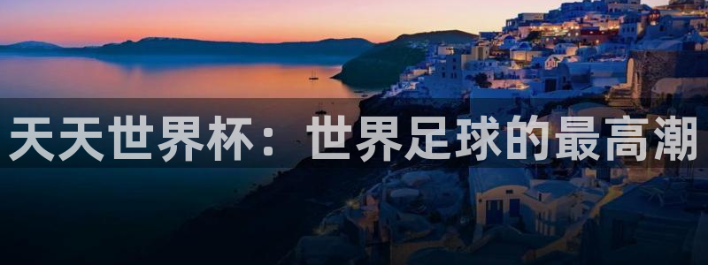 世界杯葡萄牙赛程：天天世界杯：世界足球的最高潮