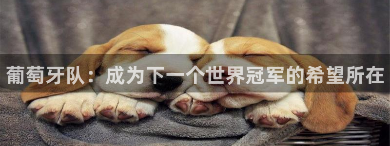 世界直播：葡萄牙队：成为下一个世界冠军的希望所在