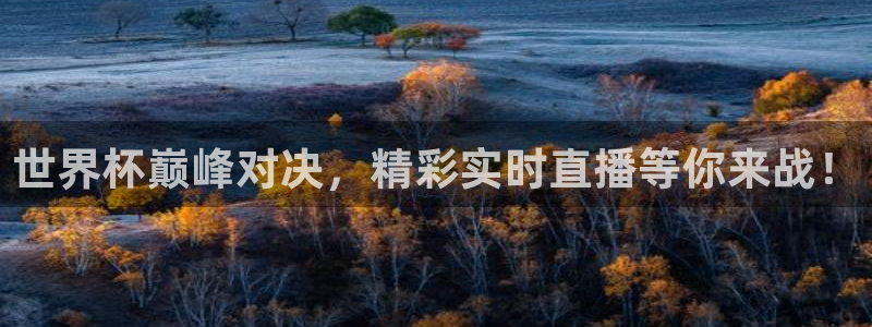 世界杯预选赛亚洲区积分榜：世界杯巅峰对决，精彩实时直播等你来战！