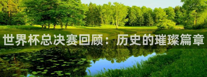 世界杯2026比赛时间表：世界杯总决赛回顾：历史的璀璨篇章