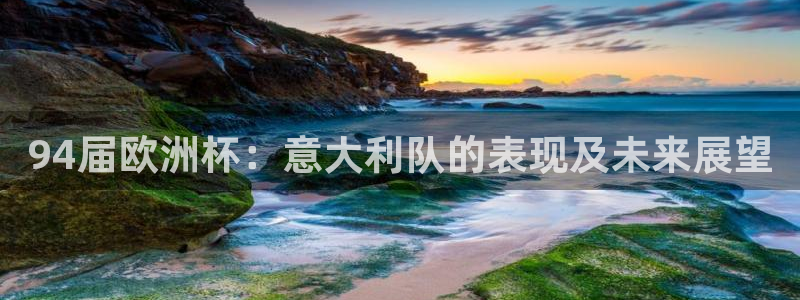 美国世界杯：94届欧洲杯：意大利队的表现及未来展望