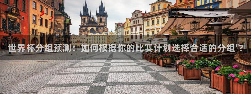 2026世界杯买球：世界杯分组预测：如何根据你的比赛计划选择合适的分组\