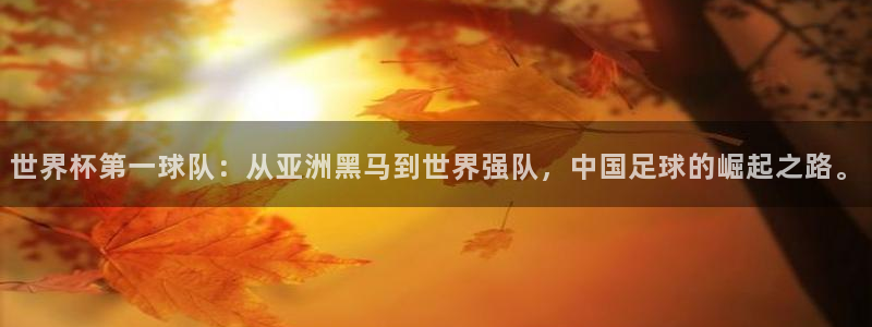 世界杯预选赛赛程表：世界杯第一球队：从亚洲黑马到世界强队，中国足球的崛起之路。