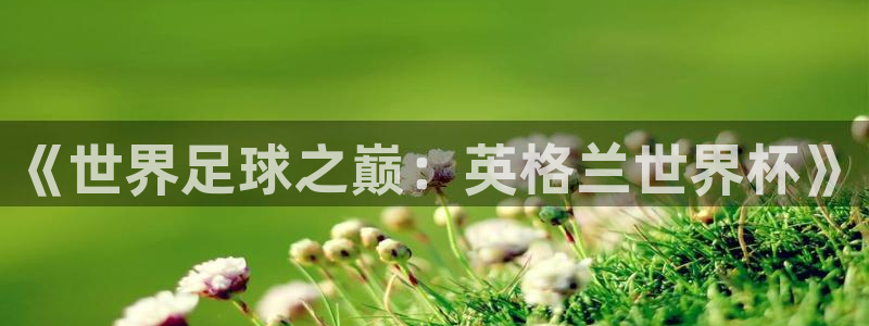 世界杯赛程2026：《世界足球之巅：英格兰世界杯》